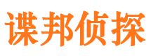 湘东市侦探公司